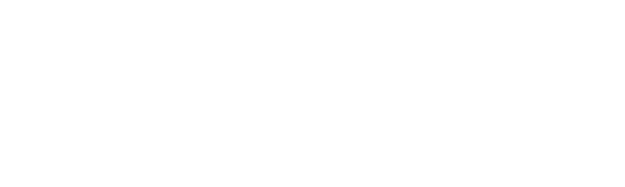 VSITs-logo